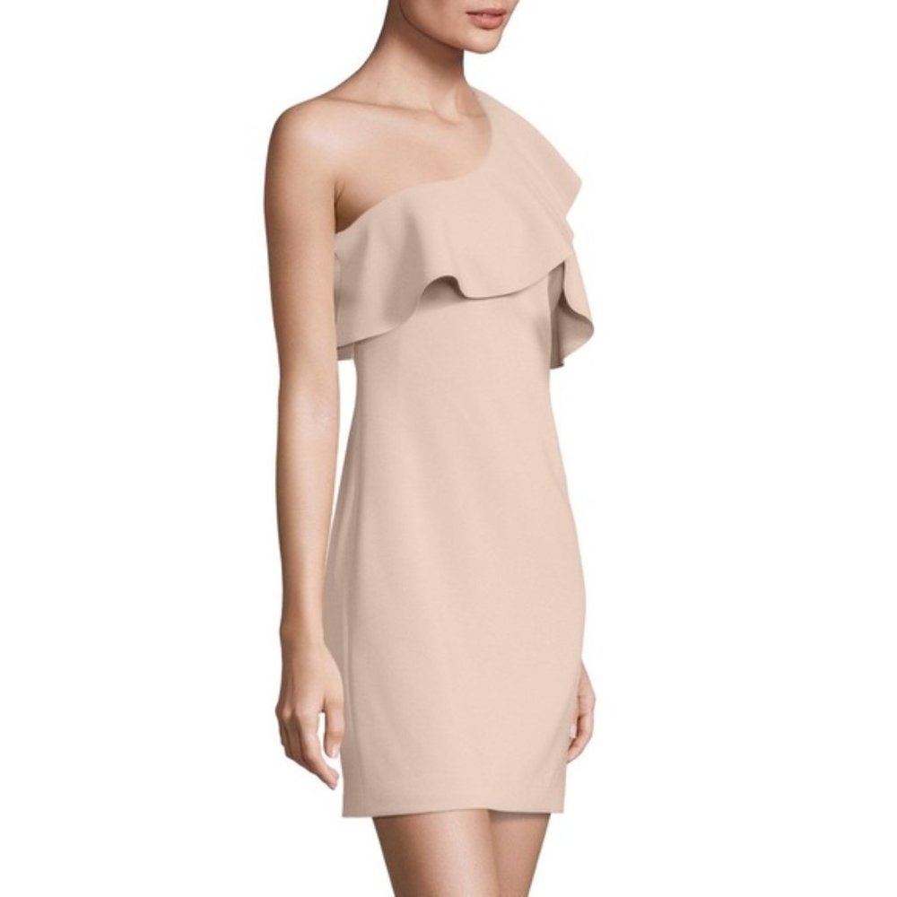 Elizabeth and James Jerard Blush Dress